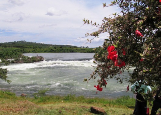 The White Nile begins at Jinja, Uganda